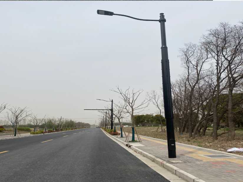 深圳市上海综合杆 太阳能路灯工程
